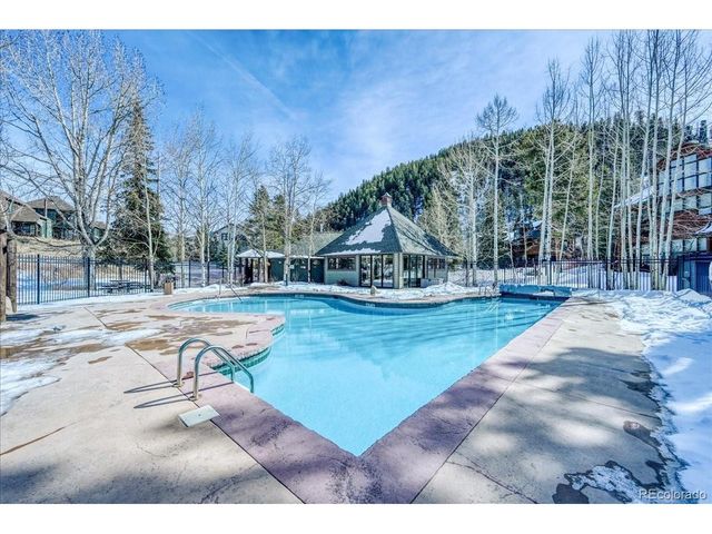 542 Northstar Dr 1955, Dillon, CO 80435