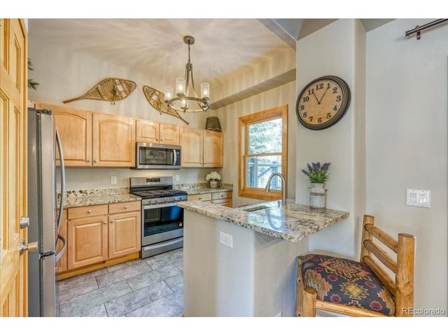 542 Northstar Dr 1955, Dillon, CO 80435