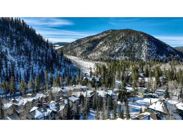542 Northstar Dr 1955, Dillon, CO 80435