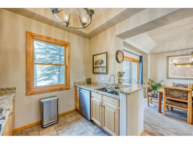 542 Northstar Dr 1955, Dillon, CO 80435