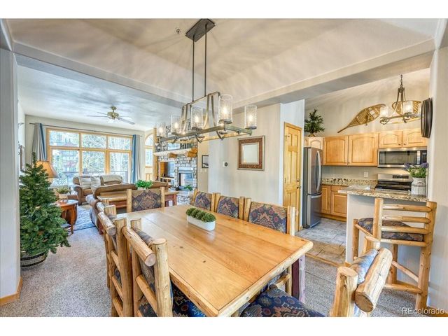 542 Northstar Dr 1955, Dillon, CO 80435