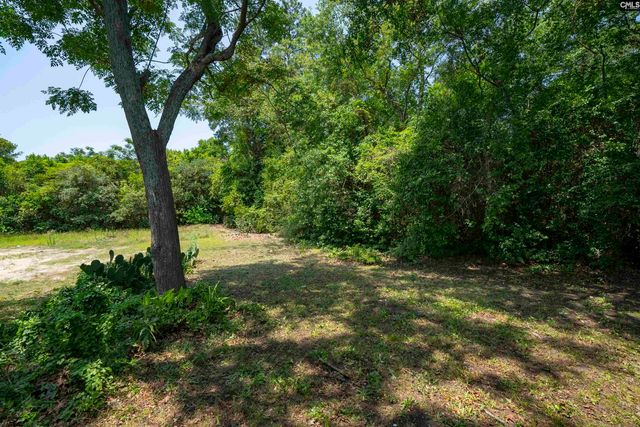 1931 Chaney Street, Columbia, SC 29204