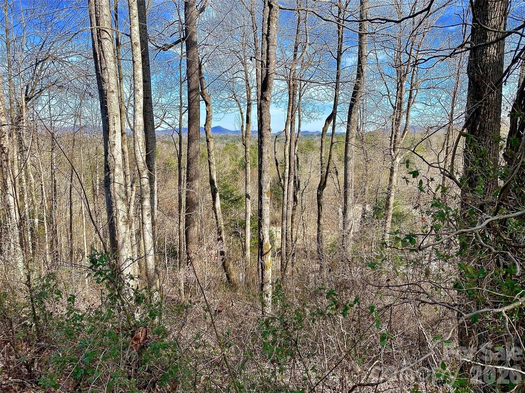 174 High Road Overlook None 24, Hendersonville, NC 28739