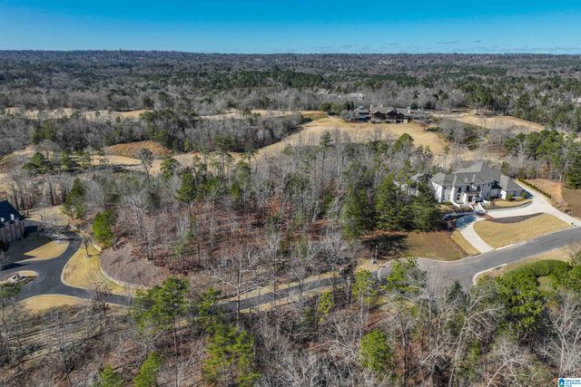 7290 KINGS MOUNTAIN ROAD, Vestavia Hills, AL 35242