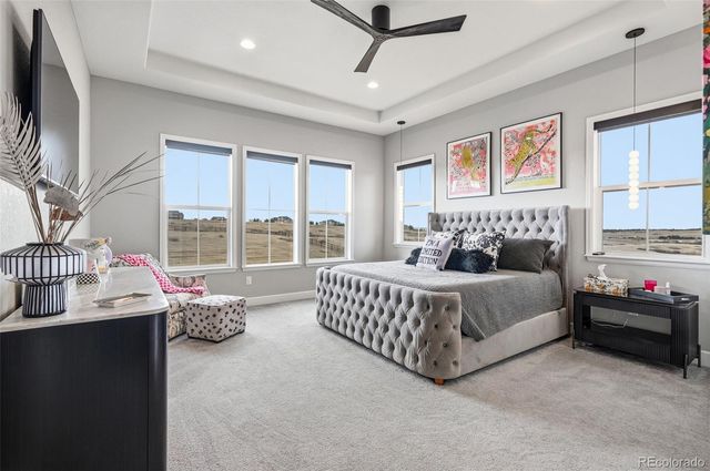 9341 Red Primrose Street, Franktown, CO 80116