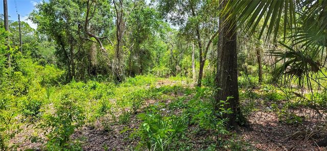02-25-16-0000-00300-0042 STATE ROAD 52, Hudson, FL 34667