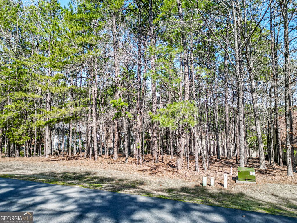 1050 Club Cove Drive 1050 CLUB COVE DRIVE, Greensboro, GA 30642