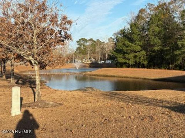 8589 Old Forest Drive NE, Leland, NC 28451