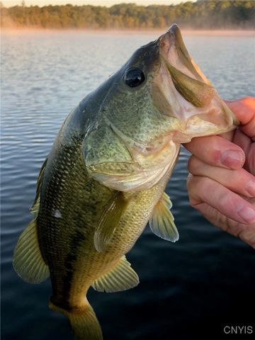 556 West Shore, Macomb, NY 13646