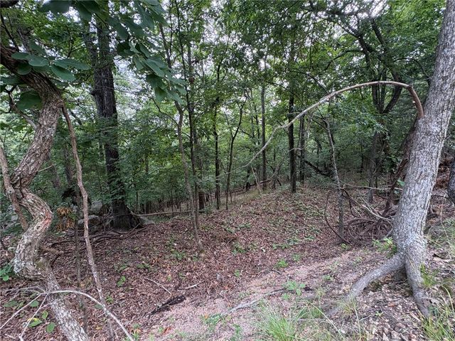 Lots 70, 71 W Airport Road, Garfield, AR 72732