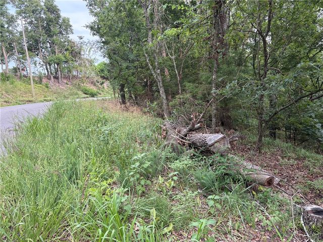 Lots 70, 71 W Airport Road, Garfield, AR 72732