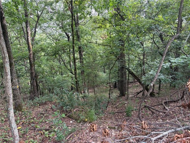 Lots 70, 71 W Airport Road, Garfield, AR 72732
