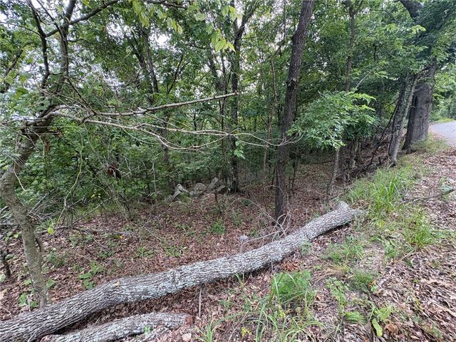 Lots 70, 71 W Airport Road, Garfield, AR 72732