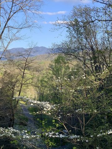 456 Patterson Ln, Gatlinburg, TN 37738