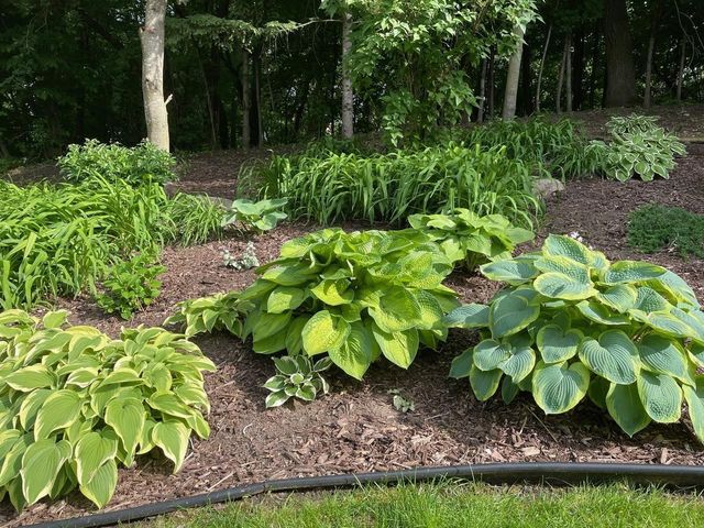 2536 Bridle Creek Trail, Chanhassen, MN 55317