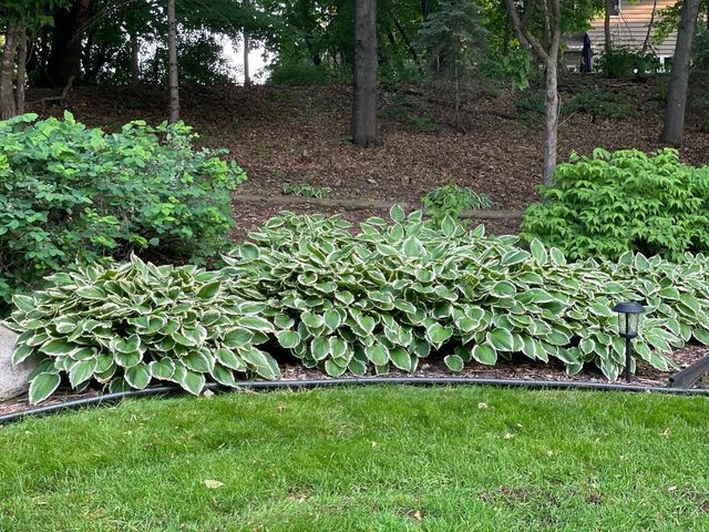 2536 Bridle Creek Trail, Chanhassen, MN 55317