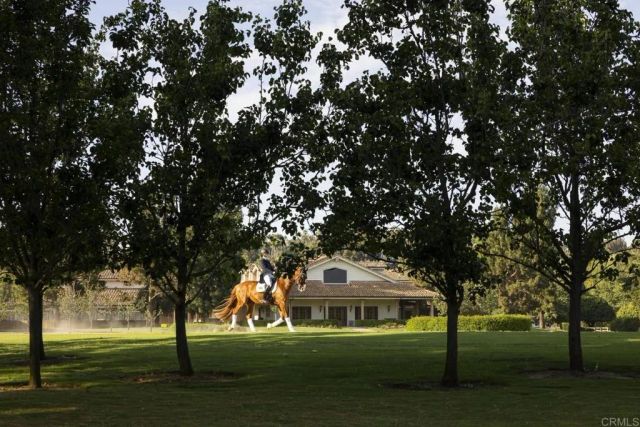 16401 Calle Feliz, Rancho Santa Fe, CA 92067