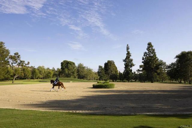 16401 Calle Feliz, Rancho Santa Fe, CA 92067