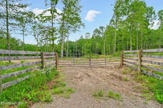 1518 Mt Helen Rd, Allardt, TN 38504