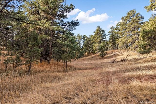 18230 Cumbres Court, Peyton, CO 80831