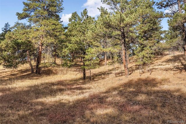 18230 Cumbres Court, Peyton, CO 80831