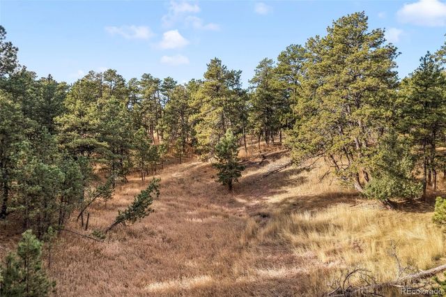 18230 Cumbres Court, Peyton, CO 80831