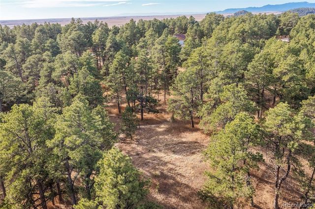 18230 Cumbres Court, Peyton, CO 80831