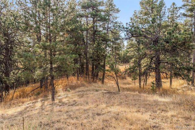 18230 Cumbres Court, Peyton, CO 80831