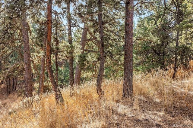 18230 Cumbres Court, Peyton, CO 80831