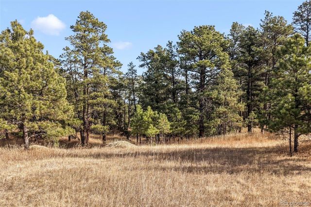 18230 Cumbres Court, Peyton, CO 80831