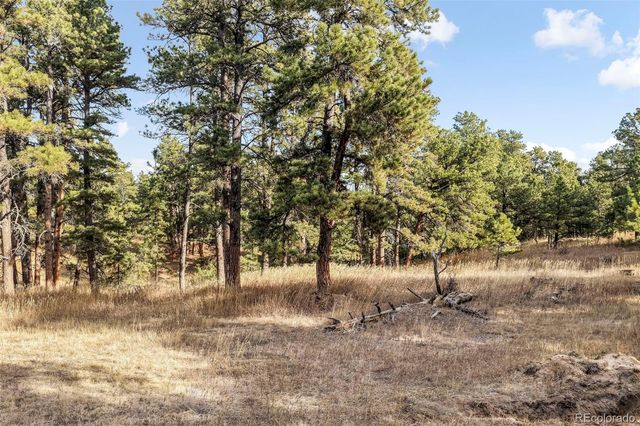 18230 Cumbres Court, Peyton, CO 80831