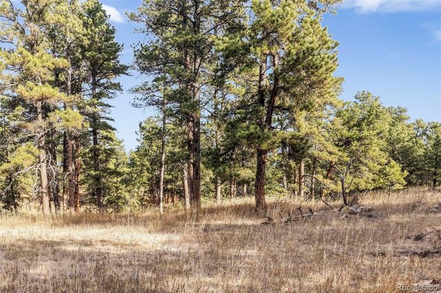 18230 Cumbres Court, Peyton, CO 80831