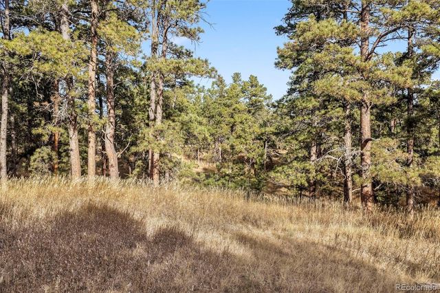 18230 Cumbres Court, Peyton, CO 80831