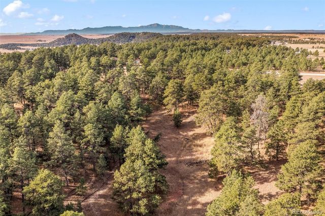 18230 Cumbres Court, Peyton, CO 80831