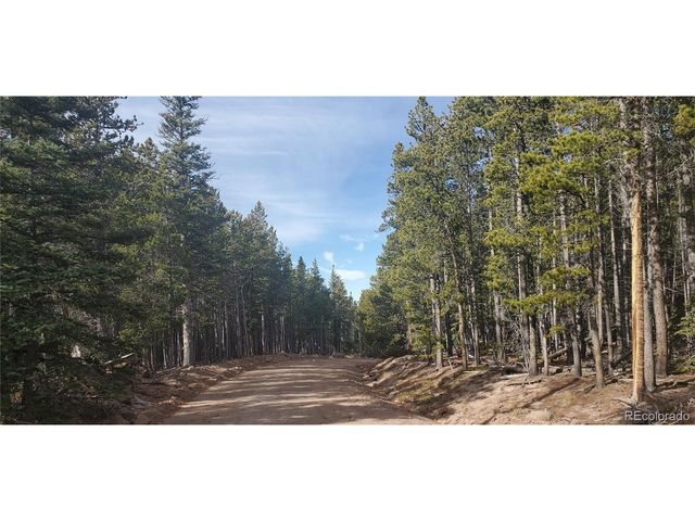 3246 Zipf Ln, Fort Garland, CO 81133