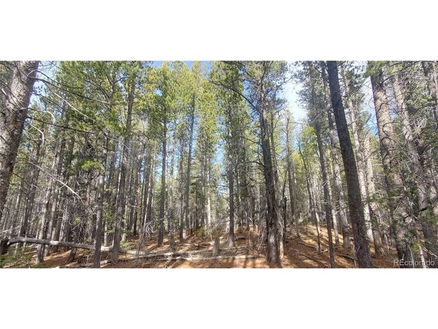 3246 Zipf Ln, Fort Garland, CO 81133