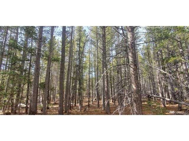 3246 Zipf Ln, Fort Garland, CO 81133