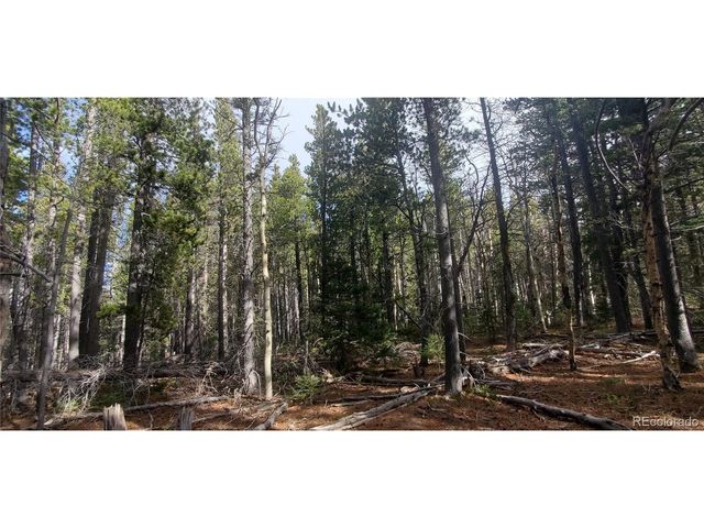 3246 Zipf Ln, Fort Garland, CO 81133