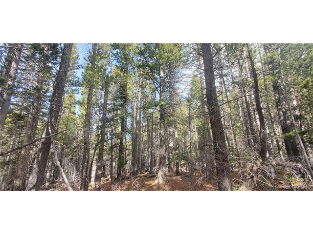 3246 Zipf Ln, Fort Garland, CO 81133