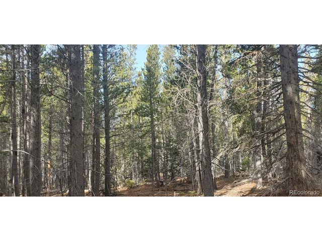 3246 Zipf Ln, Fort Garland, CO 81133