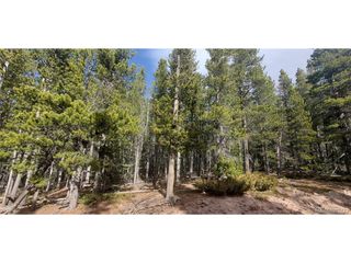 3246 Zipf Ln, Fort Garland, CO 81133