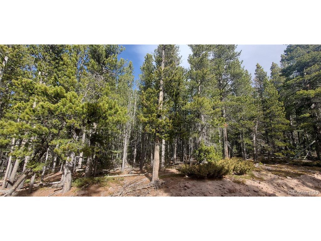 3246 Zipf Ln, Fort Garland, CO 81133