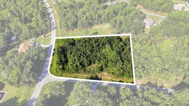 4324 N Wigwam Terrace, Beverly Hills, FL 34465