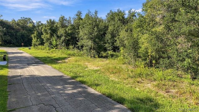 4324 N Wigwam Terrace, Beverly Hills, FL 34465