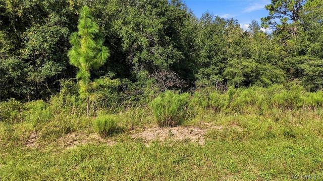 4324 N Wigwam Terrace, Beverly Hills, FL 34465