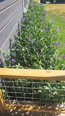 210 Fallwell ST, Liberty Hill, TX 78642