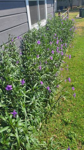 210 Fallwell ST, Liberty Hill, TX 78642