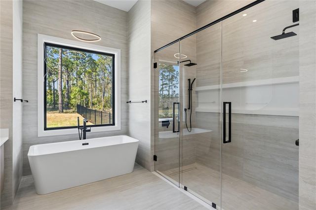 16118 PENDIO DRIVE, Montverde, FL 34756