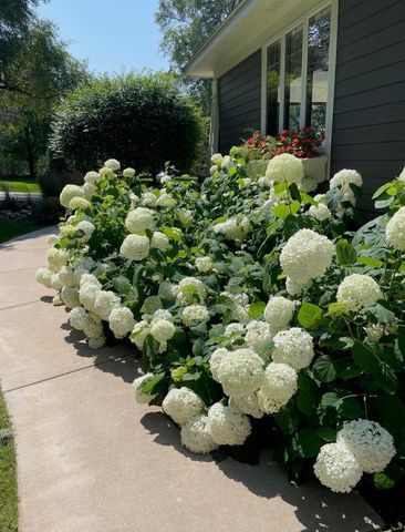 23400 Woodland Ridge Drive, Lakeville, MN 55044