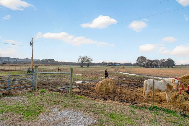 1680 Harrison Ferry Rd, Mcminnville, TN 37110